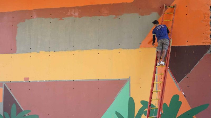 Plantas e cores  revitalizam viaduto de Maria Paula