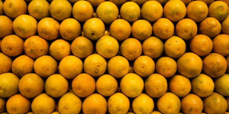 ApexBrasil vai qualificar produtores e empresas para exportar frutas