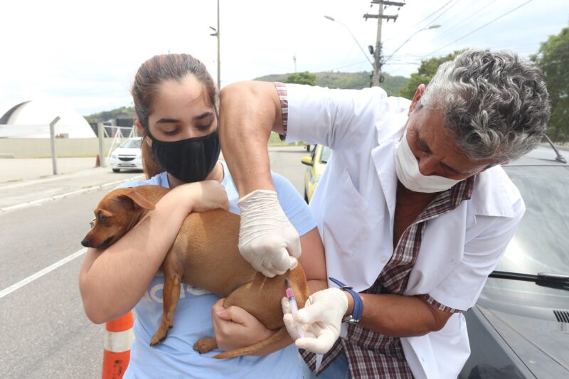 Niterói inicia Campanha de Vacinação Antirrábica Animal no próximo dia 24 – Prefeitura Municipal de Niterói