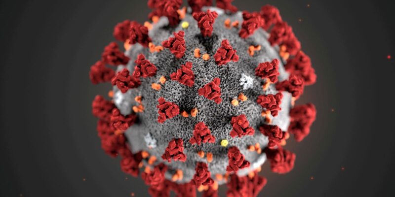 Covid-19: Brasil registra 9,9 mil novos casos e 82 óbitos em 24 horas