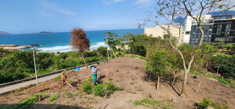 Dia da Árvore: Prefeitura promove plantio de mais de 700 mudas em parques naturais da cidade – Prefeitura da Cidade do Rio de Janeiro