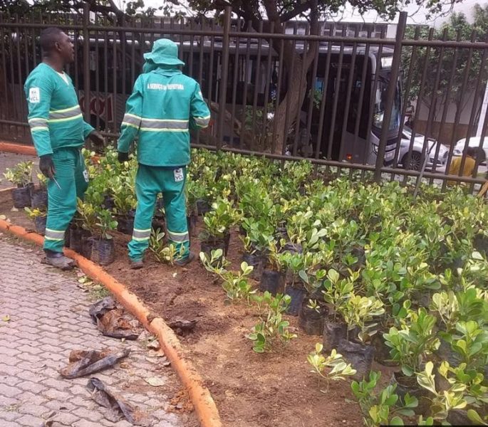 Seconser revitaliza canteiros em praça do Ingá – Prefeitura Municipal de Niterói