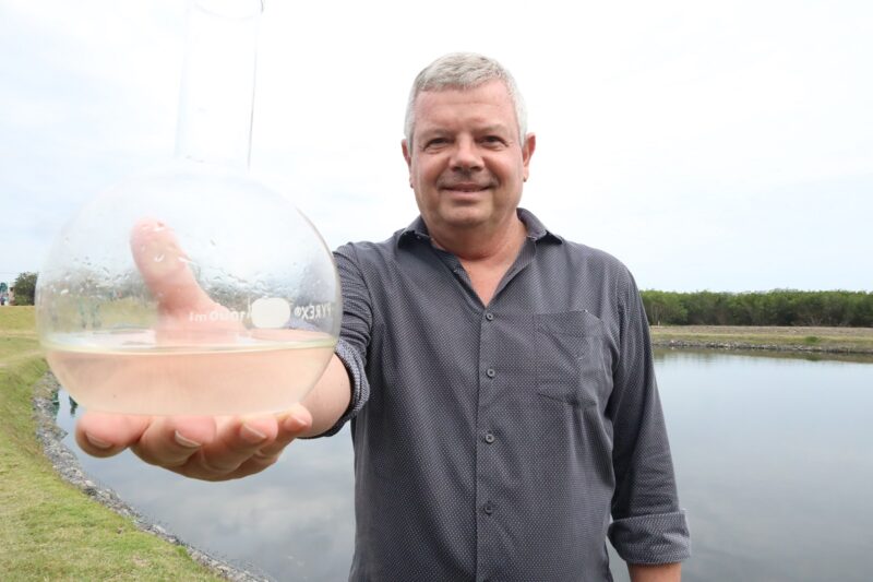 primeiro sistema de jardins filtrantes já está em funcionamento – Prefeitura Municipal de Niterói