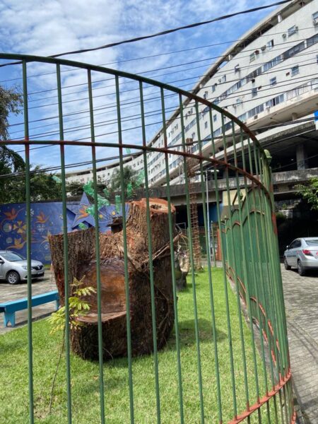 Poltrona feita com tronco de árvore derrubada em vendaval está em exposição no Galpão das Artes – Prefeitura da Cidade do Rio de Janeiro