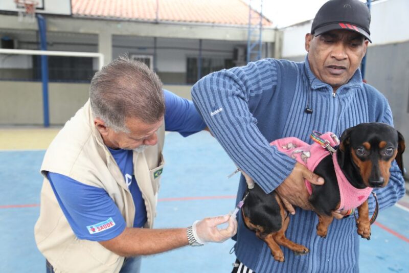 São Gonçalo vacina cães e gatos contra raiva
