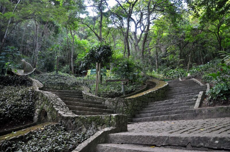 Semana da Árvore começa com atividades em nove parques naturais da cidade – Prefeitura da Cidade do Rio de Janeiro