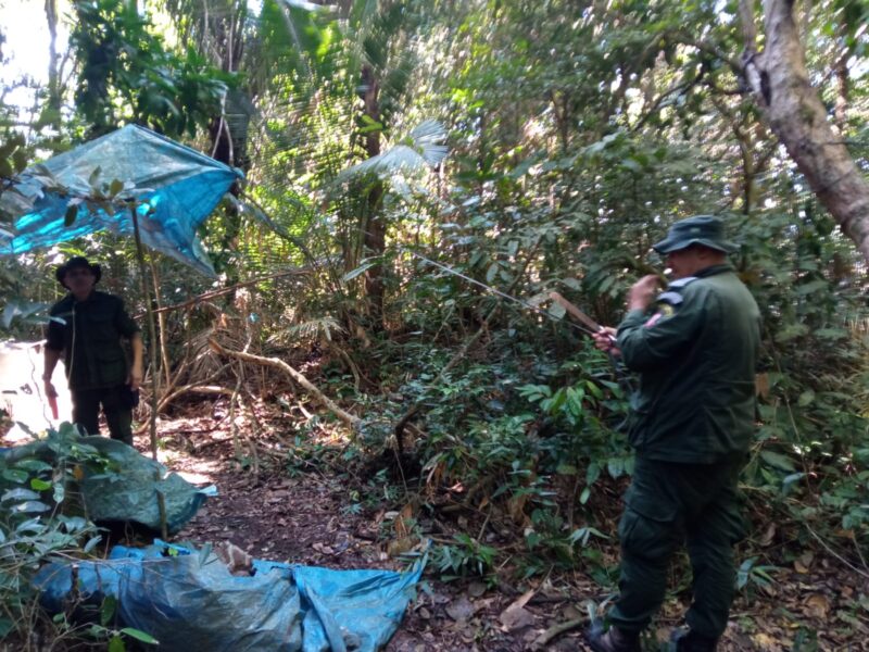 Guardas Ambientais de Niterói desmontam dois acampamentos clandestinos em área do Parnit – Prefeitura Municipal de Niterói