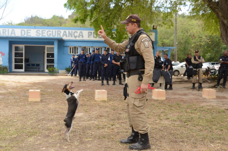 Guardas do canil fazem workshop de ‘showdog’ em Arraial do Cabo para agentes de vários municípios – Prefeitura da Cidade do Rio de Janeiro