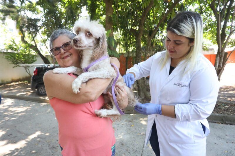 Campanha de vacinação antirrábica em Niterói é sucesso – Prefeitura Municipal de Niterói