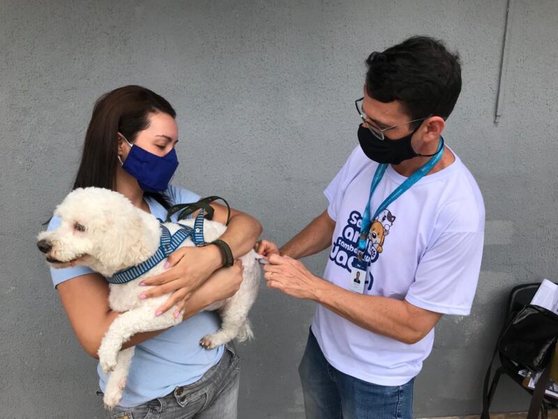 Campanha de vacinação antirrábica terá duas datas extras em novembro – Prefeitura da Cidade do Rio de Janeiro