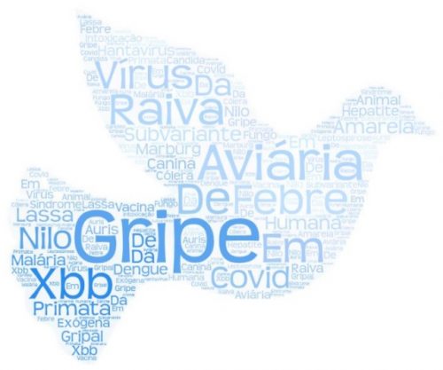 Cievs – São Gonçalo (13/2023)