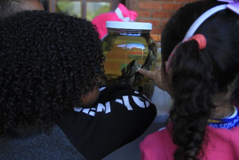 Alunos da rede municipal celebram o Dia Mundial do Meio Ambiente
