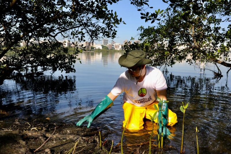 Prefeitura lança programa Guardiões dos Mangues, no Dia Mundial do Meio Ambiente – Prefeitura da Cidade do Rio de Janeiro