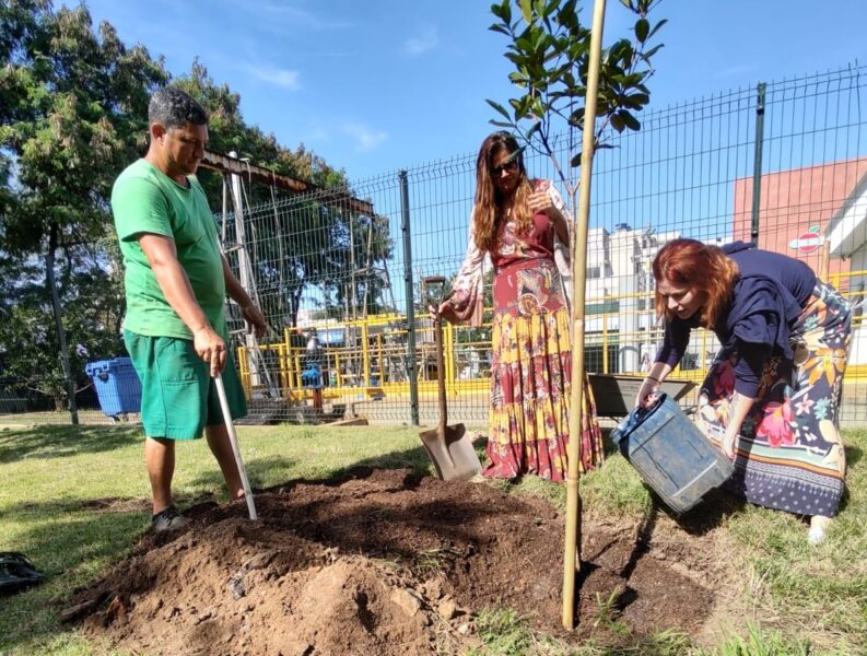 Prefeitura promove plantio de árvores em comemoração ao Mês do Meio Ambiente – Prefeitura da Cidade do Rio de Janeiro