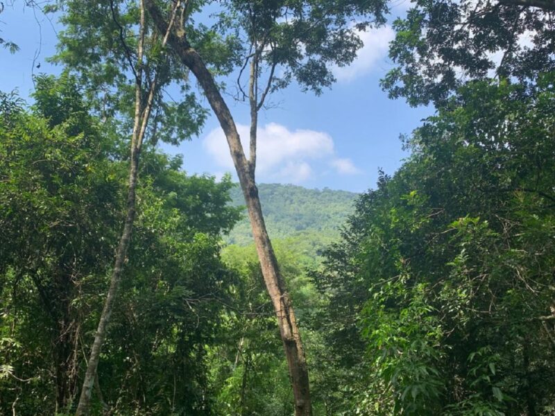 Niterói abre consulta pública para implementar Reservas Particulares do Patrimônio Natural – Prefeitura Municipal de Niterói