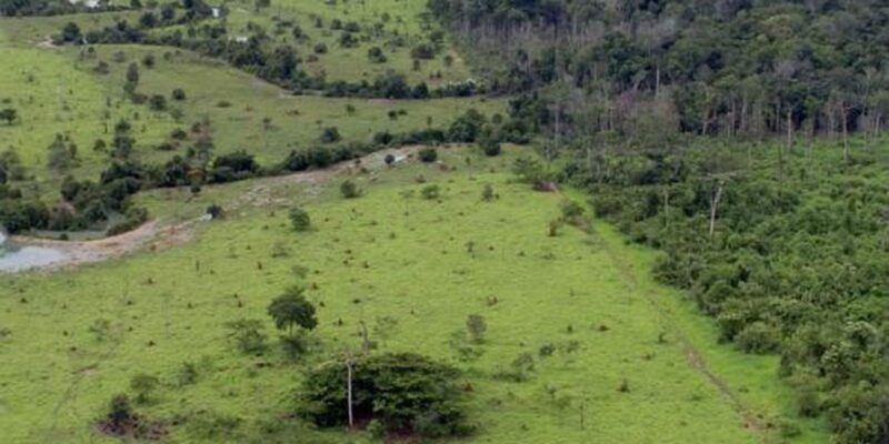 BB aceitará crédito de carbono em leilão de imóveis rurais