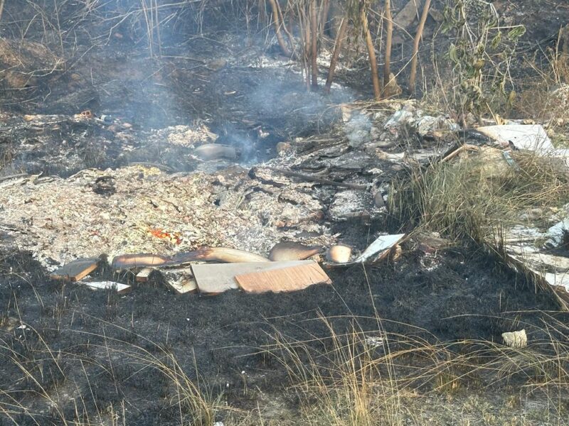 Meio Ambiente faz alerta para risco de incêndios na mata