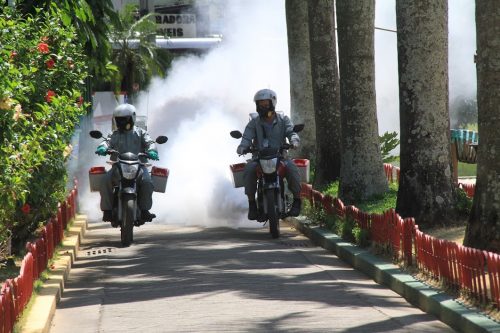 São Gonçalo reforça ações contra Aedes aegypti