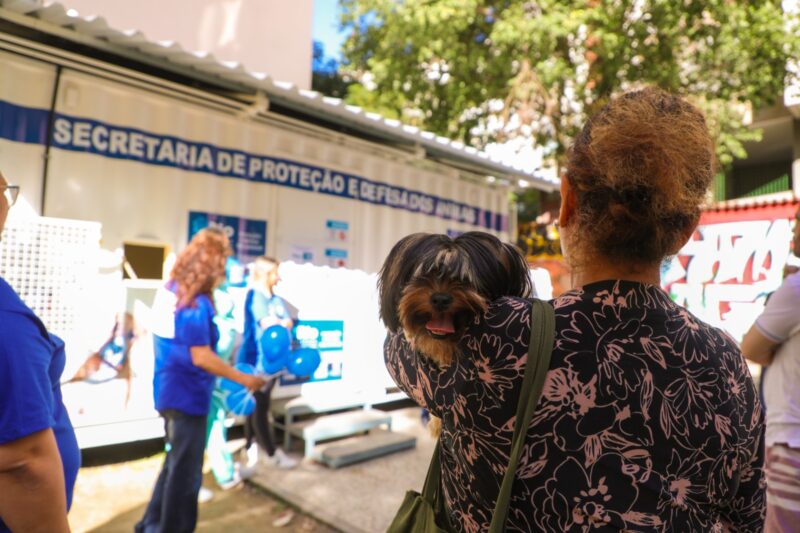 Secretaria de Proteção e Defesa dos Animais divulga horários dos postos nesta segunda-feira – Prefeitura da Cidade do Rio de Janeiro