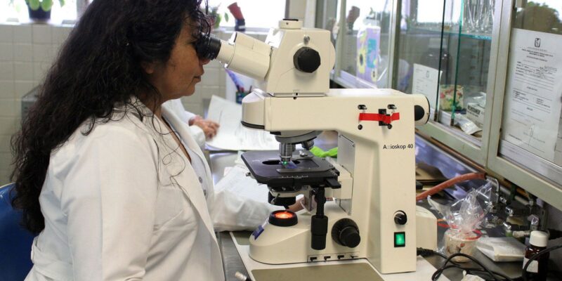 Programa Futuras Cientistas tem 470 vagas para alunas e professoras