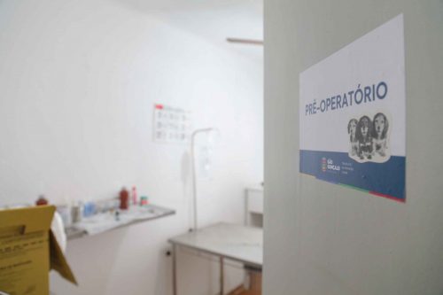 São Gonçalo reabre agendamento para castração de animais