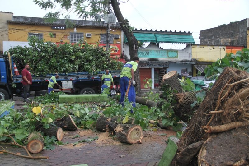 São Gonçalo atua na retirada de árvores após tempestade