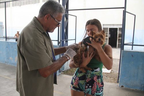 São Gonçalo promove vacinação contra a raiva     