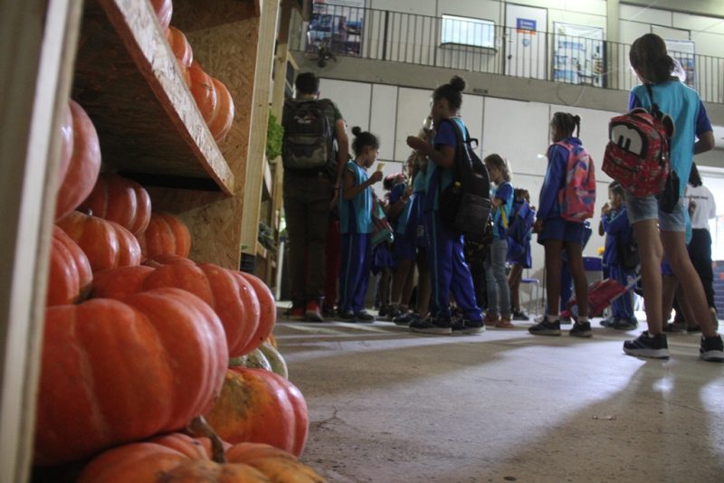 Educação alia leitura com incentivo à agricultura familiar