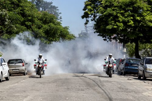 Ações de combate Aedes aegypti continuam na cidade