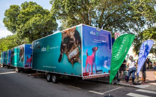 Castramóvel faz agendamento nesta quarta-feira na Trindade