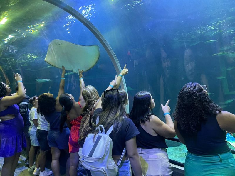 Prefeitura do Rio promove visita ao AquaRio com moradores da comunidade Dois Irmãos, em Curicica – Prefeitura da Cidade do Rio de Janeiro