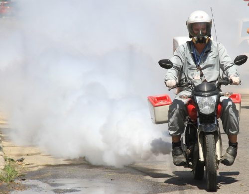 São Gonçalo mantém ações contra Aedes aegypti