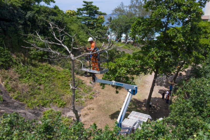 Prefeitura do Rio lança programa Parques Cariocas – Prefeitura da Cidade do Rio de Janeiro