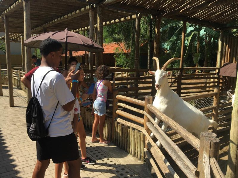 Prefeitura do Rio leva moradores do Pechincha ao BioParque, antigo Jardim Zoológico, em São Cristóvão – Prefeitura da Cidade do Rio de Janeiro