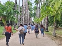 Projeto Turistando com a Comunidade leva moradores da Praça Seca ao Jardim Botânico - Prefeitura da Cidade do Rio de Janeiro