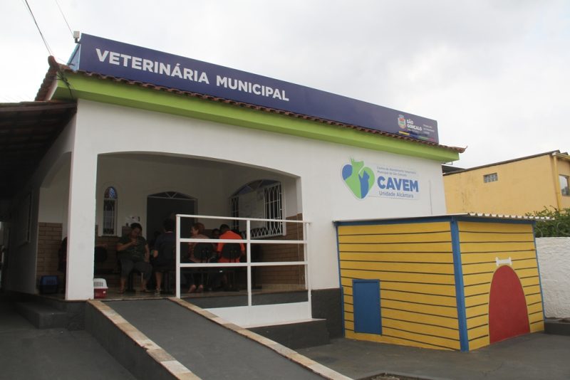 São Gonçalo abre mais 512 vagas para castração de cães e gatos