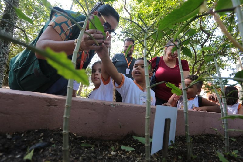 Em junho, Niterói destaca importância da preservação do meio ambiente    – Prefeitura Municipal de Niterói