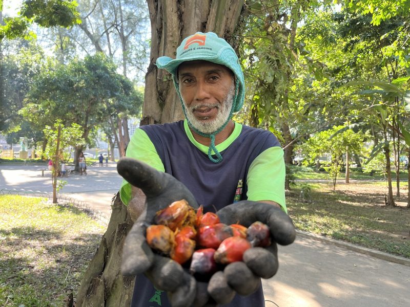 Campo de São Bento possui Museu Vivo que conta a história do país através das plantas – Prefeitura Municipal de Niterói