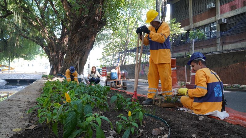 Jardins de flores para receber água da chuva são plantados às margens do canal da Avenida Visconde de Albuquerque – Prefeitura da Cidade do Rio de Janeiro
