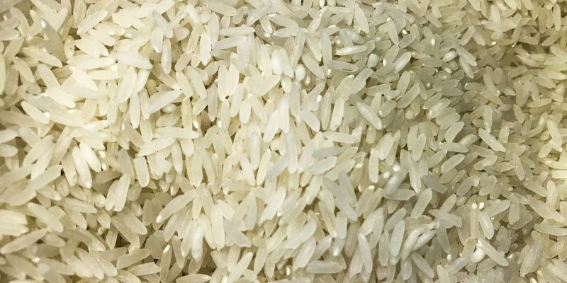 Conab compra 263,3 mil toneladas de arroz importado em leilão