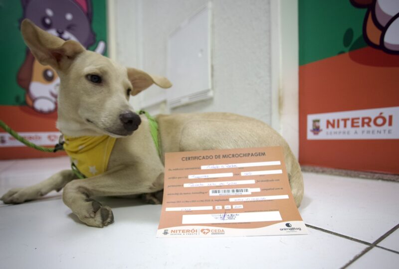 Prefeitura de Niterói leva Ação Animal para Pendotiba – Prefeitura Municipal de Niterói