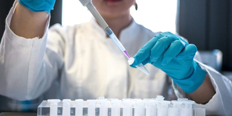 Mais Médicos tem 33 mil inscritos; 10,4 profissionais por vaga