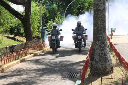 Combate ao Aedes aegypti será retomado na próxima terça-feira