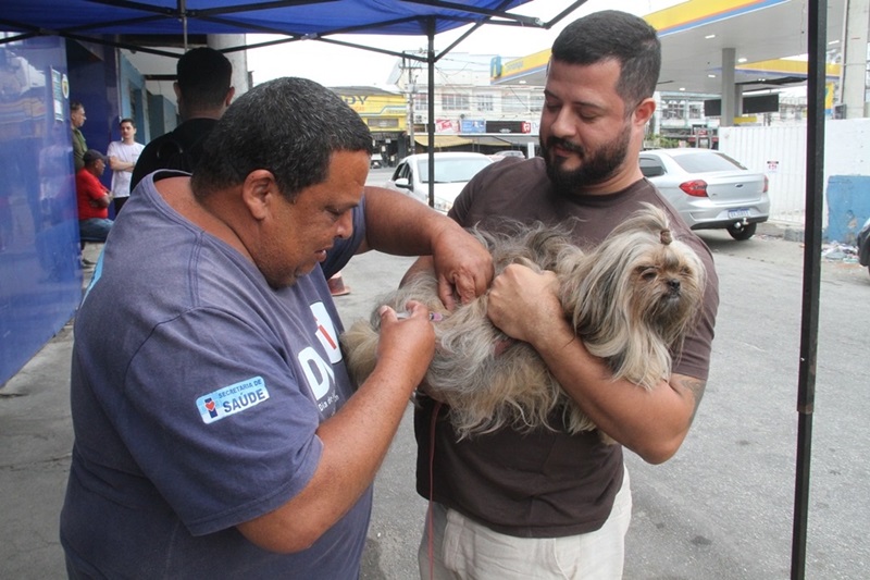Mais de 58 mil animais são vacinados em sábado de vacinação antirrábica em São Gonçalo