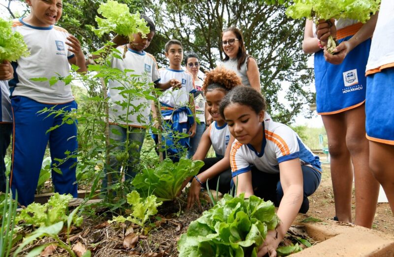 Projeto Escolas que Plantam ensina crianças da rede municipal de Nova Iguaçu a plantar e cultivar dentro das unidades de ensino