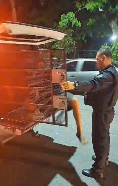 Homem é preso tentando furtar portão de alumínio no Alcântara