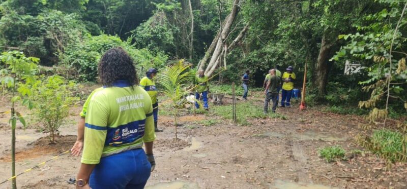 Meio Ambiente realiza plantio de mudas na APA do Engenho Pequeno