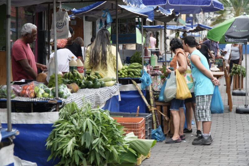 Feira da Agricultura Gonçalense incentiva produção local e alimentos saudáveis