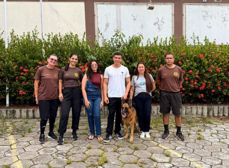 Guarda Municipal disponibiliza três cães aposentados para adoção – Prefeitura da Cidade do Rio de Janeiro