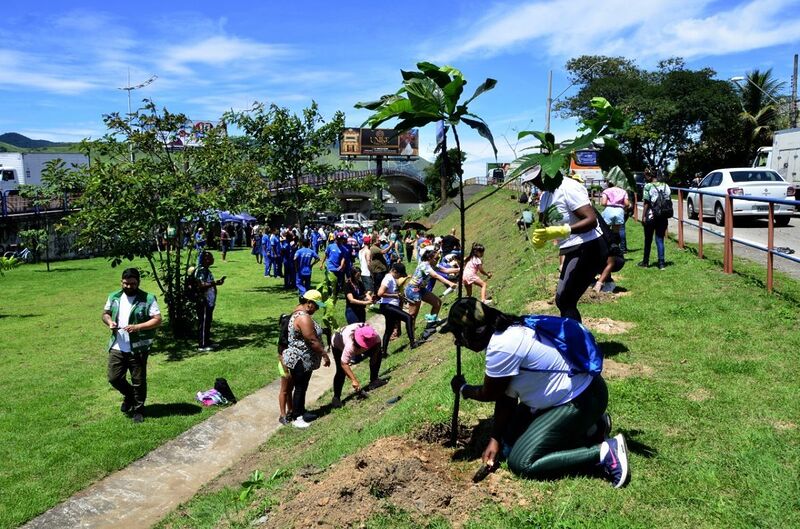Plantio de árvores vai marcar encerramento das ações da Semana da Mulher, em Nova Iguaçu